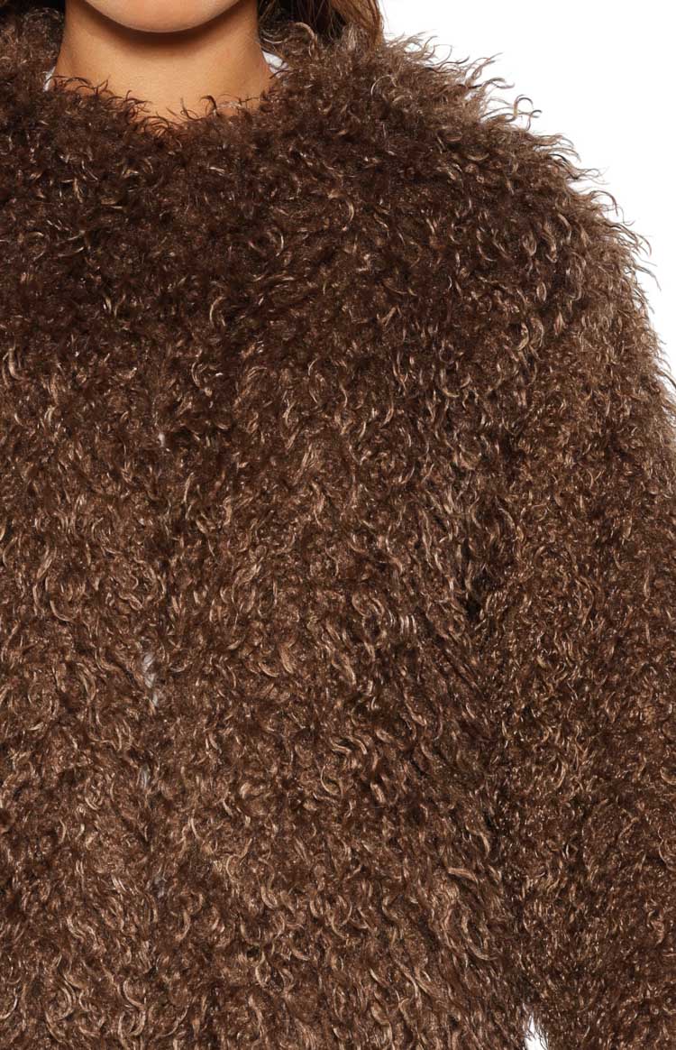 Margot Brown Shaggy Fur Jacket